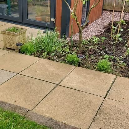 Patio & Planting